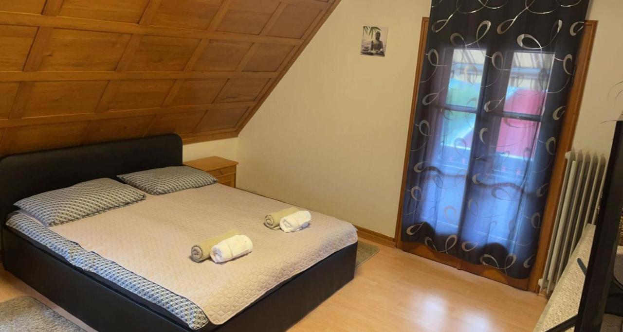 Ela Vital Ferienwohnung St. Blasien Exterior foto